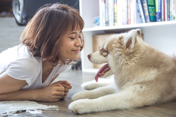 ルールを守って健全な引用や画像の利用を！