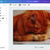 知らなかった！Canva（キャンバ）で写真をぼかす方法